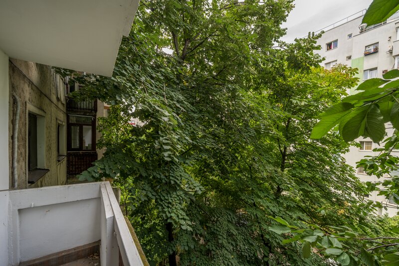 Tineretului, Timpuri Noi